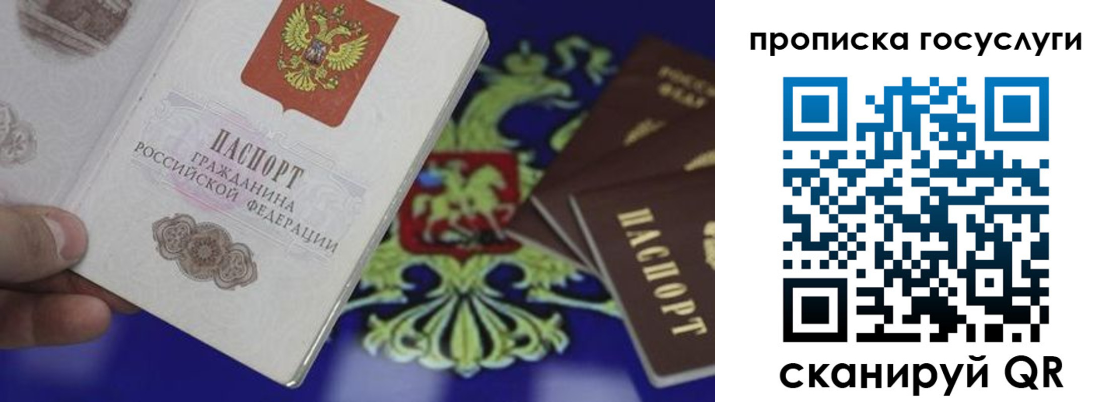 регистрация для школы в Гаджиево